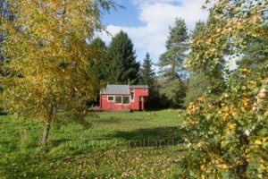 Tiny House Scotland's NestHouse enjoys autumn sunshine...